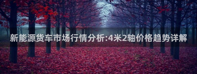 新宝gg平台登录 新宝GG:新能源货车市场行情分析:4米2轴