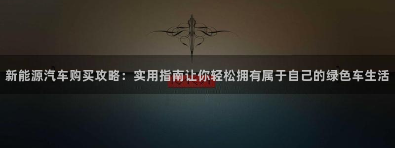 新宝gg用哪个浏览器:新能源汽车购买攻略:实用指南让你轻松拥