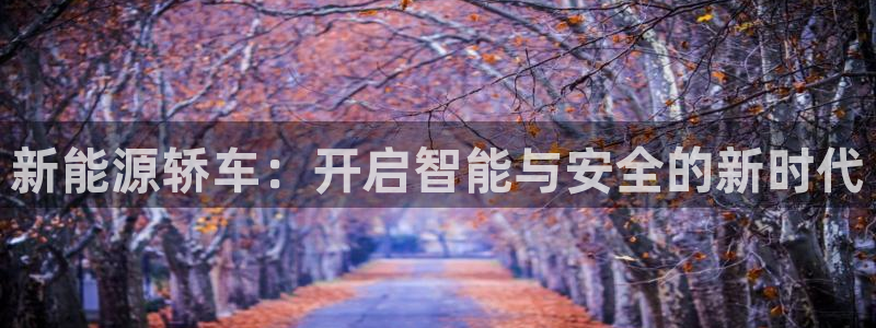 新宝GG厮78778:新能源轿车:开启智能与安全的新时代